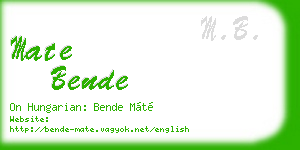 mate bende business card